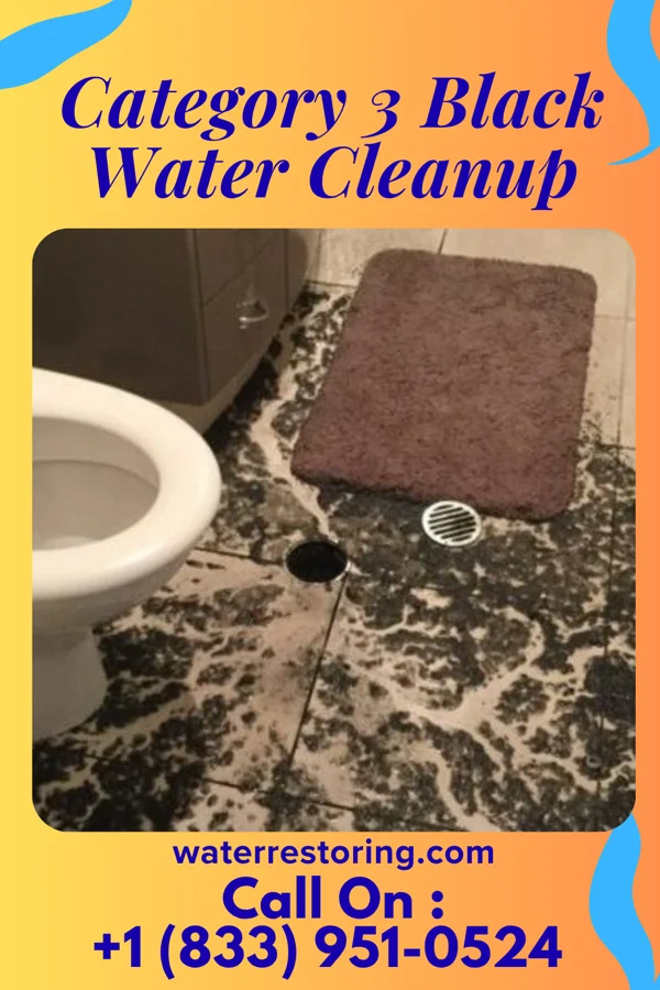 Category 3 Black Water Cleanup in Thompson, ND