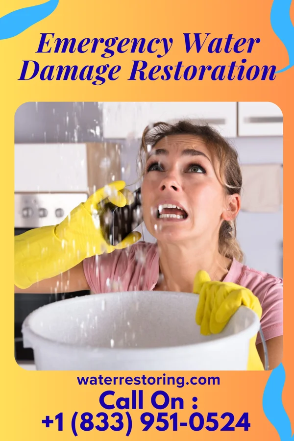 Emergency Water Damage Restoration in Thompson, ND
